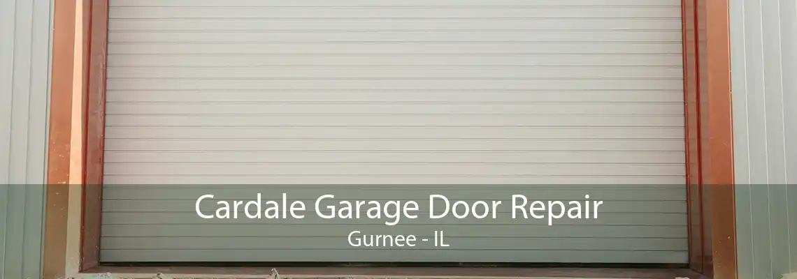 Cardale Garage Door Repair Gurnee - IL