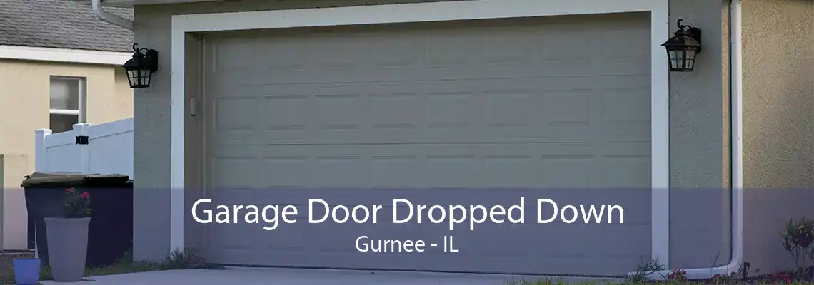 Garage Door Dropped Down Gurnee - IL