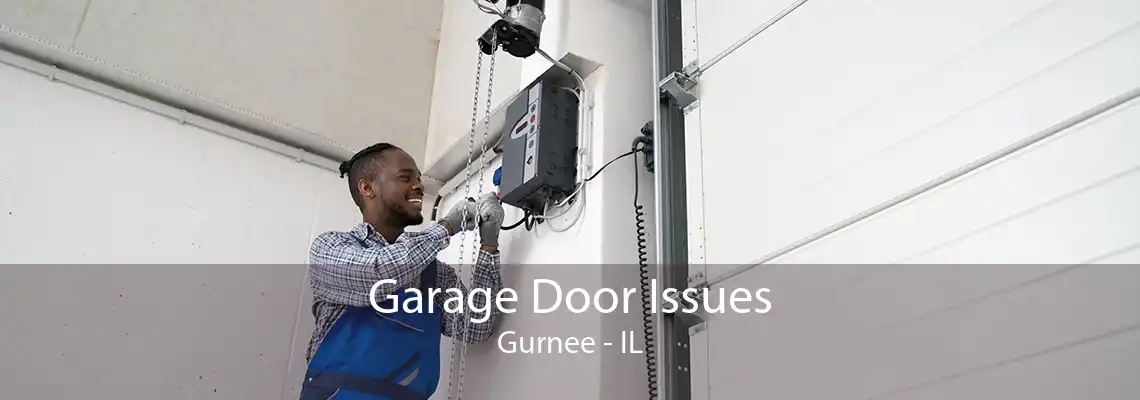 Garage Door Issues Gurnee - IL