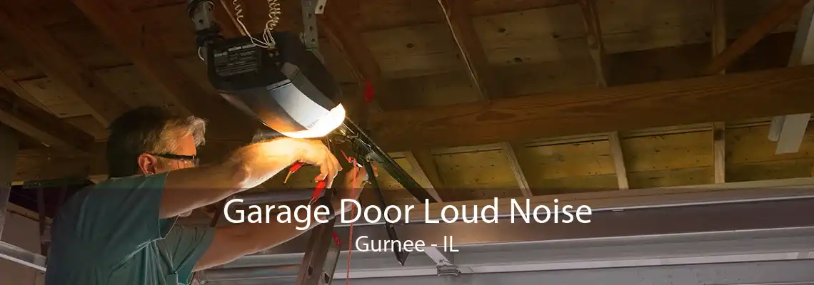 Garage Door Loud Noise Gurnee - IL