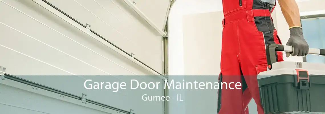 Garage Door Maintenance Gurnee - IL