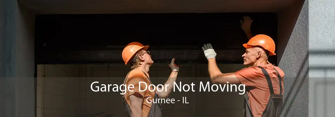 Garage Door Not Moving Gurnee - IL