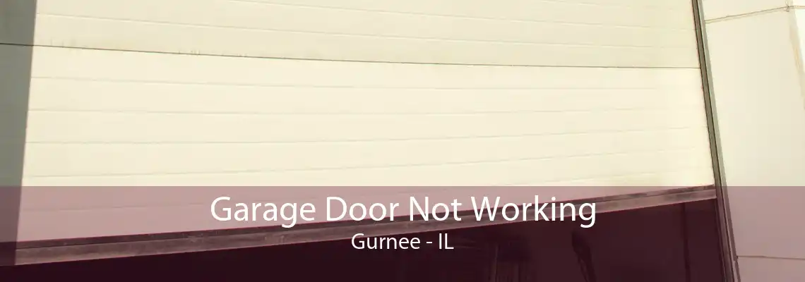 Garage Door Not Working Gurnee - IL