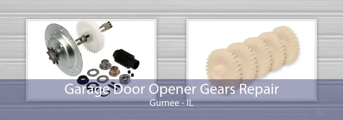 Garage Door Opener Gears Repair Gurnee - IL