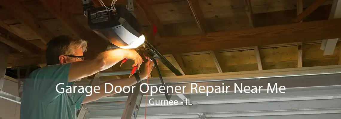 Garage Door Opener Repair Near Me Gurnee - IL