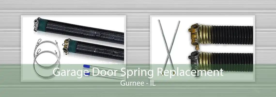 Garage Door Spring Replacement Gurnee - IL