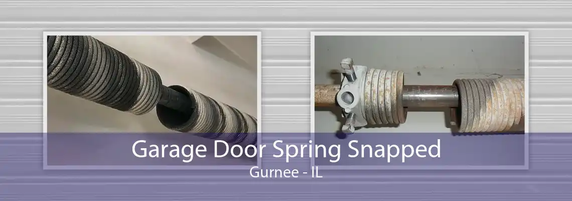 Garage Door Spring Snapped Gurnee - IL