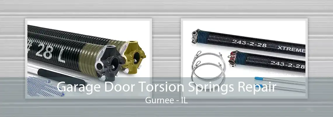 Garage Door Torsion Springs Repair Gurnee - IL