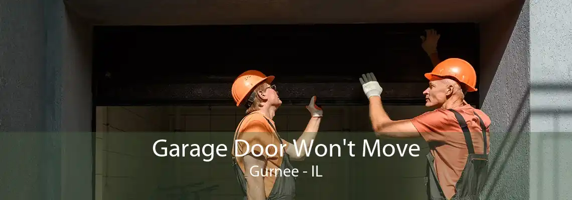 Garage Door Won't Move Gurnee - IL