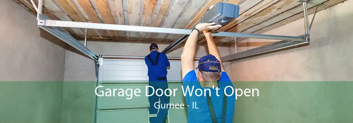 Garage Door Won't Open Gurnee - IL