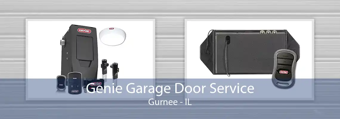 Genie Garage Door Service Gurnee - IL