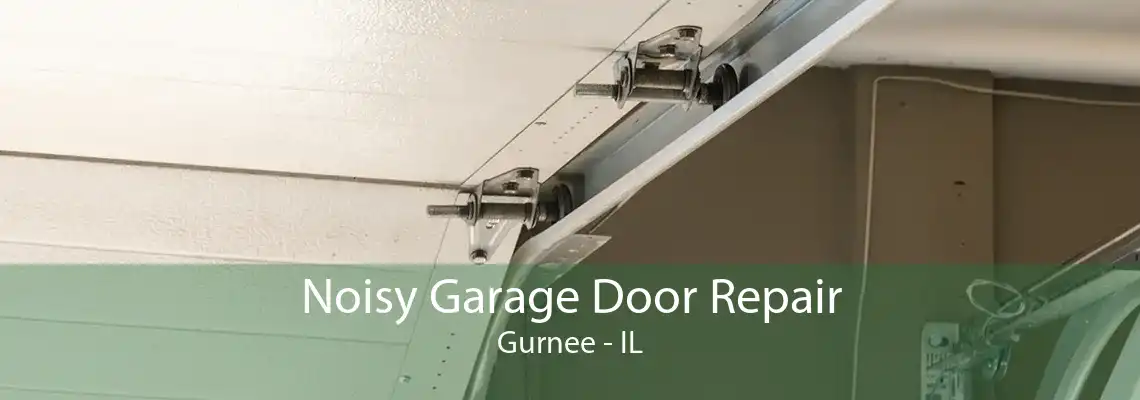 Noisy Garage Door Repair Gurnee - IL